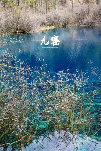 可爱兔子营救