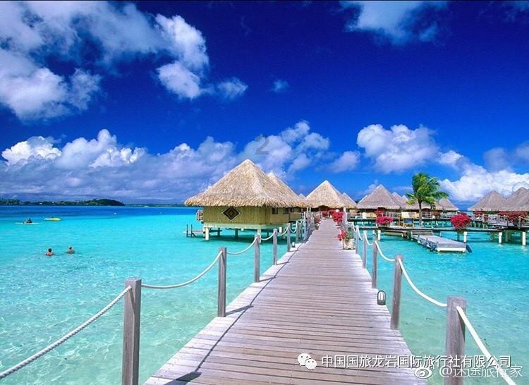 救援蝙蝠