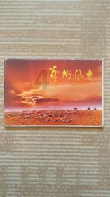 疯狂的聚会