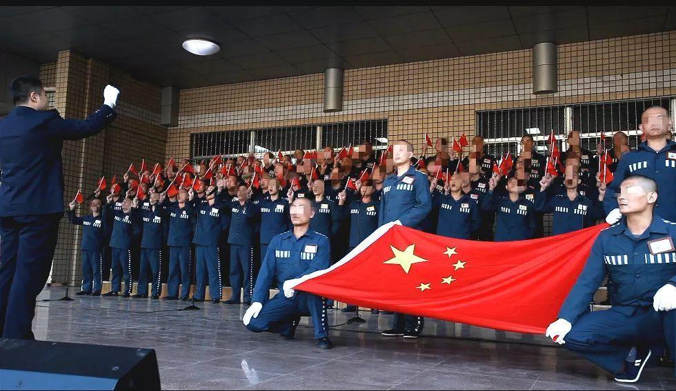 救援小肥兔