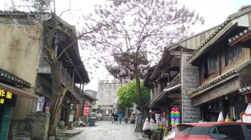 救援蓝色小鱼